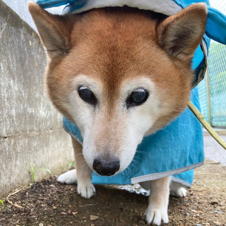 Aec004a2 cced 4704 a57a e1f383a57cb4 1716854412232