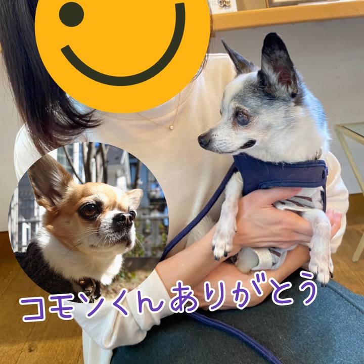 Aec005a2 f300 40c4 9821 5f80eb0f34a1 1710040267436