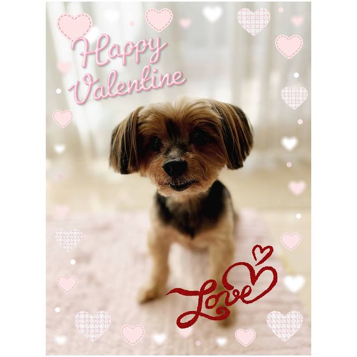 Aec0089c 2afe 4ef4 ae1f c9ca62fcb815 1707888415233