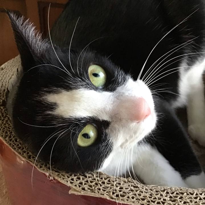 Aec05961 7ac4 4cb1 96b0 e15cd4f79030 1742722058294