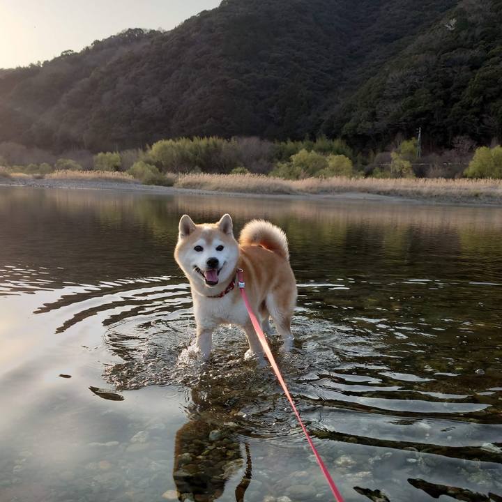 Aec11fba 4b65 4800 b3c5 e265405993b6 1763209785625