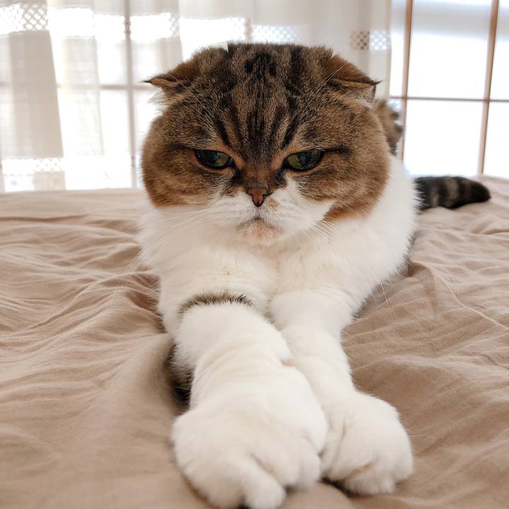 Aec12547 f328 489c badb ff7ed6242342 1589096446181