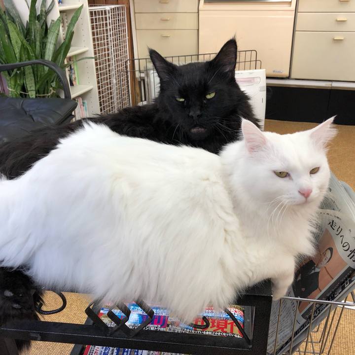 Aec1602d 260e 4eba 9f1f 2744f7a40706 1550809656628