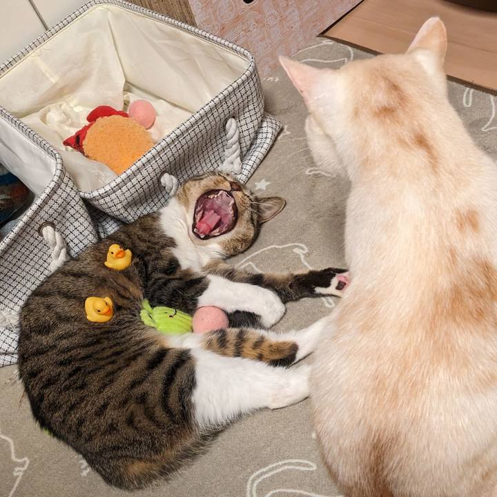 Aec1602d f9f0 4e78 b347 e558161faa21 1707059219543