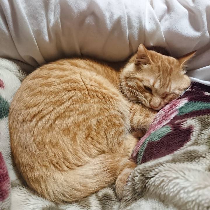 Aec1858a ec1a 496b b64d 6cfb31fe6a60 1645102173974