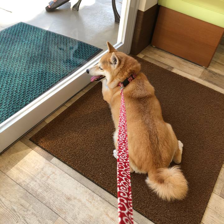 Aec198f6 04cd 430f 8189 76889da22391 1597238344357