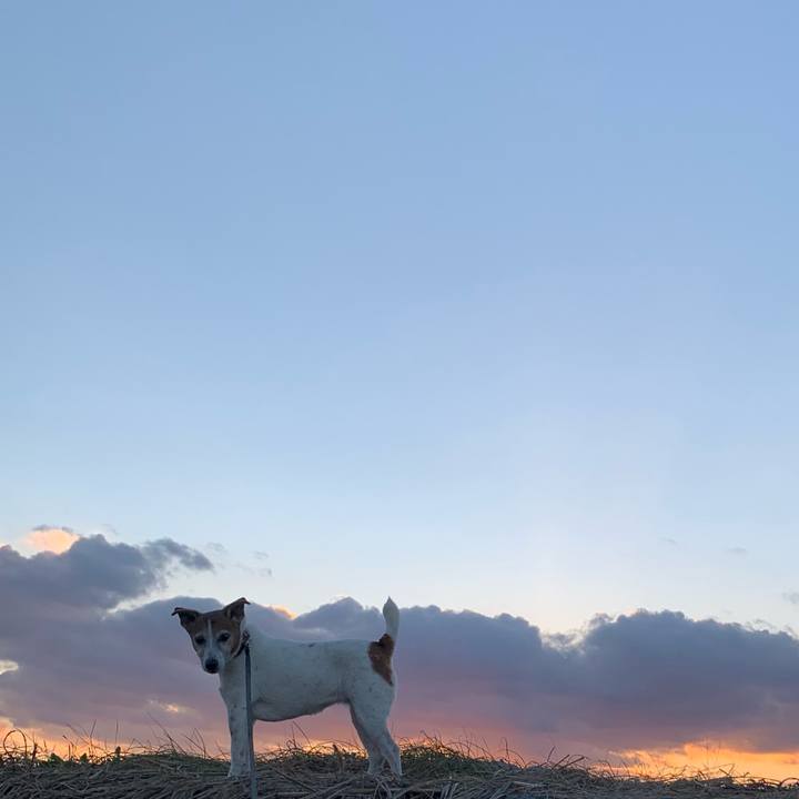 Aec1ac51 46f7 4c1f 80b3 f9c70d1dafff 1608970911706