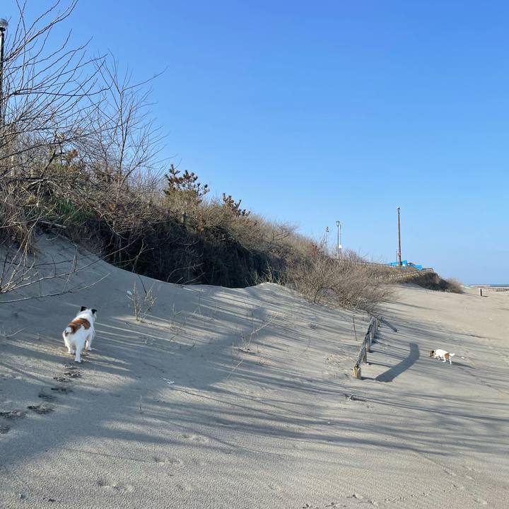 Aec1e9dc 2831 472a b30e 22680a818a76 1712965754352