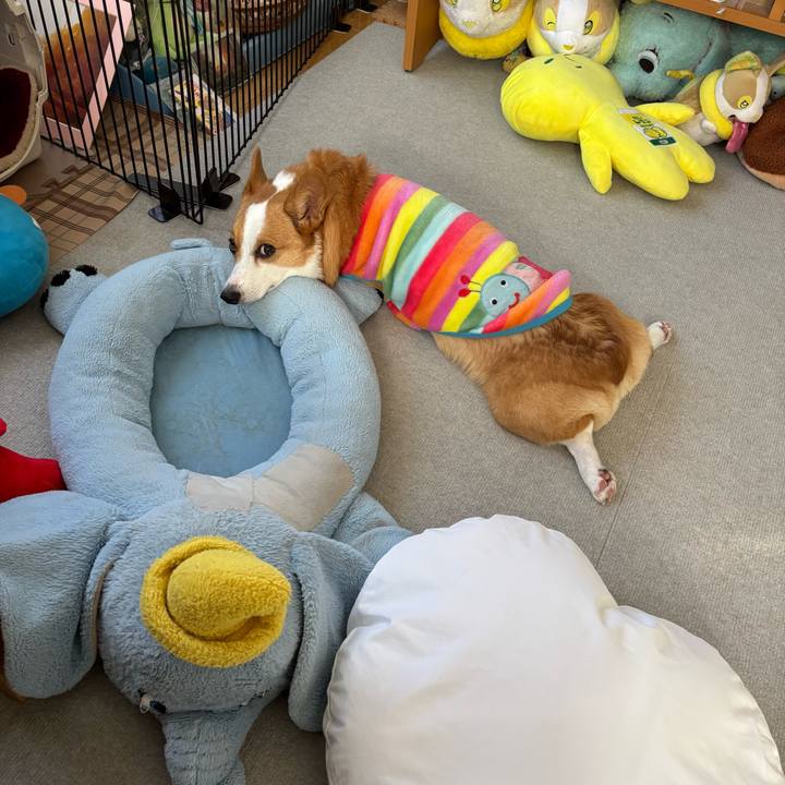 Aec224cf 8eb6 42eb b78e aa55be9fb01a 1765253264166