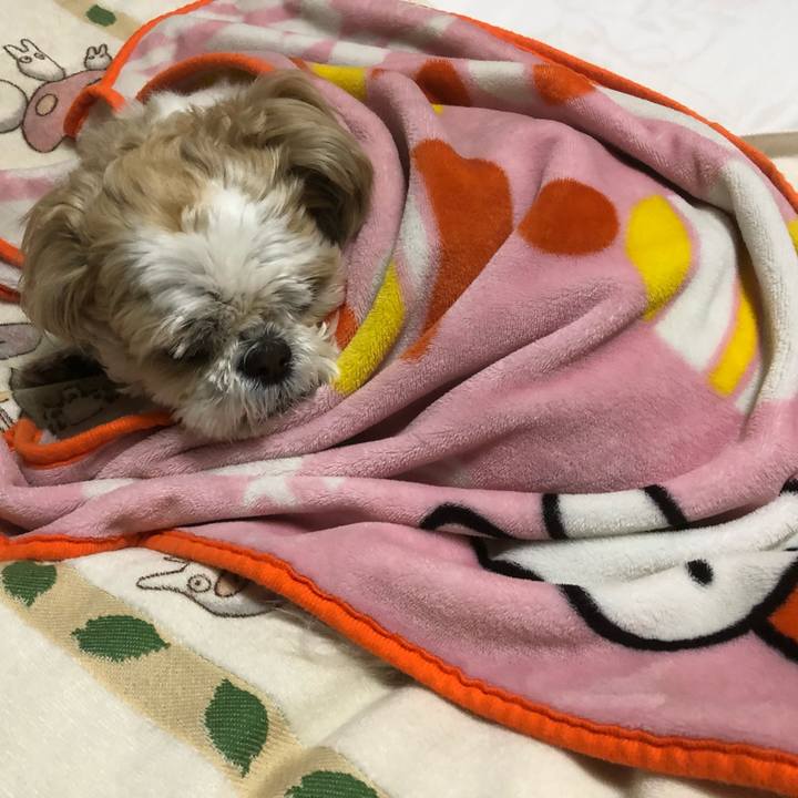 Aec2754c 1064 46f9 9dfb e4df5f615f6b 1614722311368