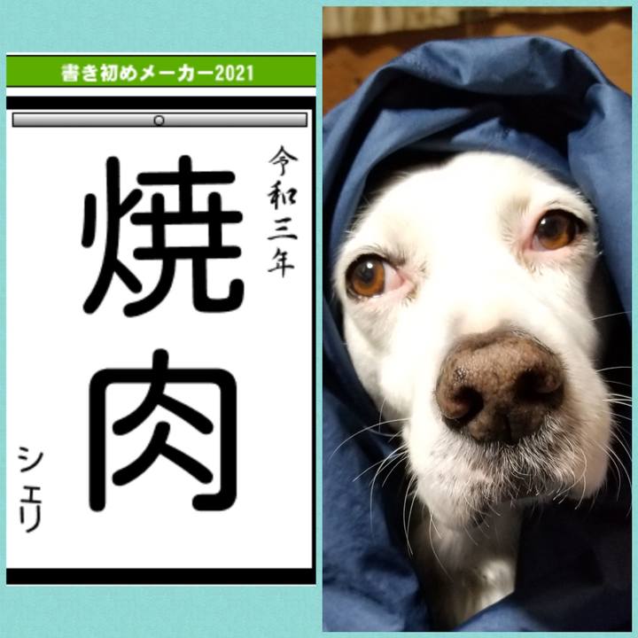 Aec292e7 15d9 44ab baa4 b700c467f511 1609890933300