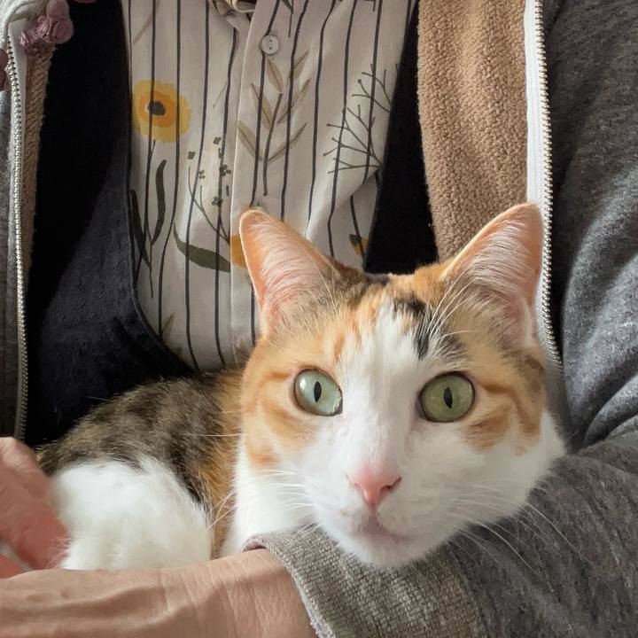 Aec2b493 71c1 49f2 9457 98de293a4417 1771041848202