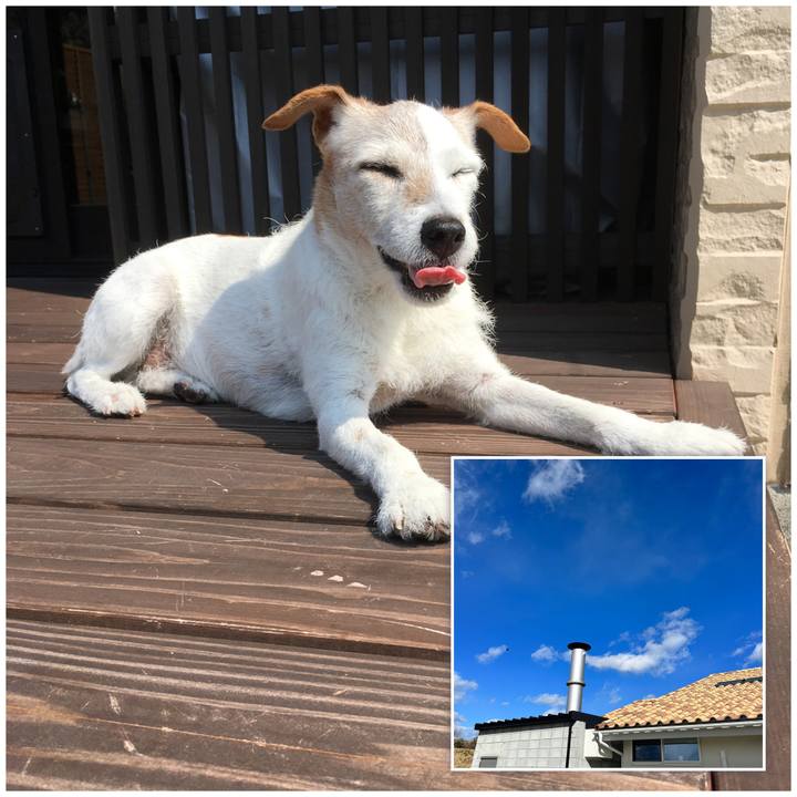 Aec2c6cb b1e9 464a 9a4e 82a2e477e372 1674632792812