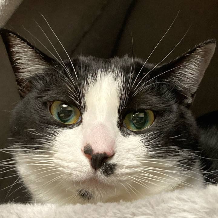 Aec317fd 5f15 4e70 9399 5ff63c4db7c9 1608936910122