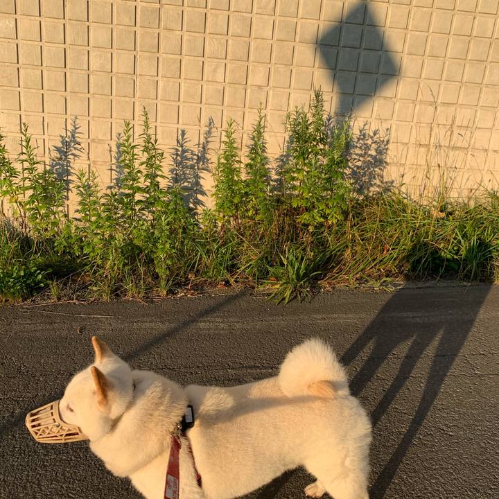 Aec31a0e a1ef 41a1 a6eb a308a930ef1b 1598131355584