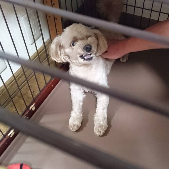 Aec33623 85d9 4270 b23a f6c0c7759e20 1563280353970