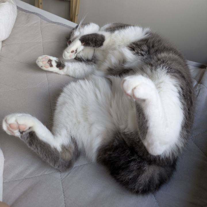 Aec35a57 f35f 40a4 9056 a8c6becd8c4b 1752978648538