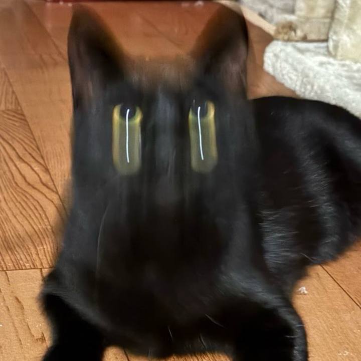 Aec39b16 31c8 4820 b6d3 52bb2f7caf92 1736121497443