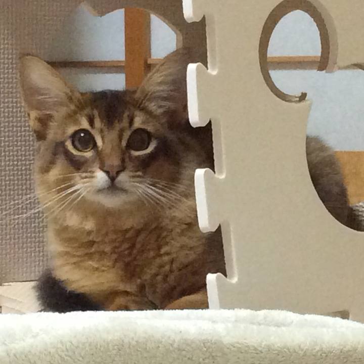 Aec3ae81 9ff1 46dd 8297 c92f4beae863 1578710336434