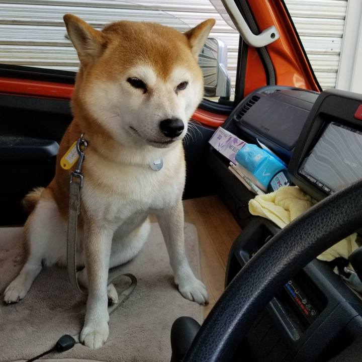 Aec3c3f7 b255 4a56 97a2 bc3b4ef15bfc 1569893736438