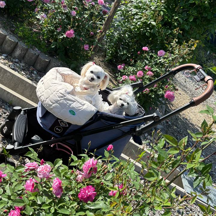 Aec3d680 7276 4f3a 9e28 cd61bfae1874 1746352360620