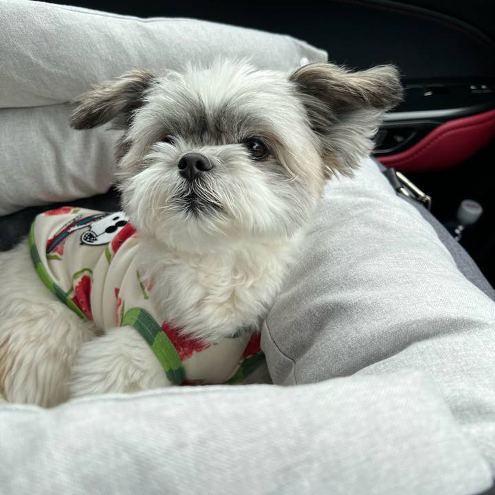 Aec3fadd 5811 4003 8692 574e50f2f847 1688090514101