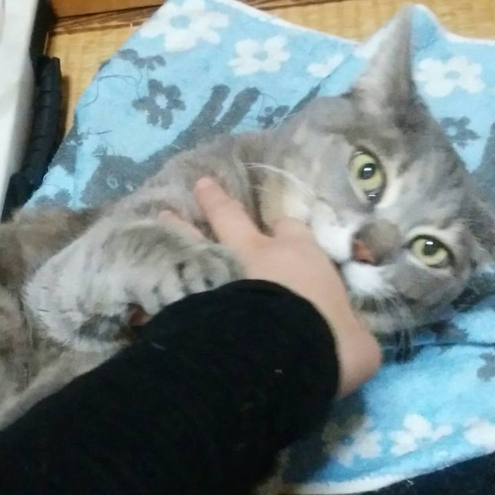 Aec416b7 d9e8 4a33 8eb7 d57b007bd87c 1518348676583