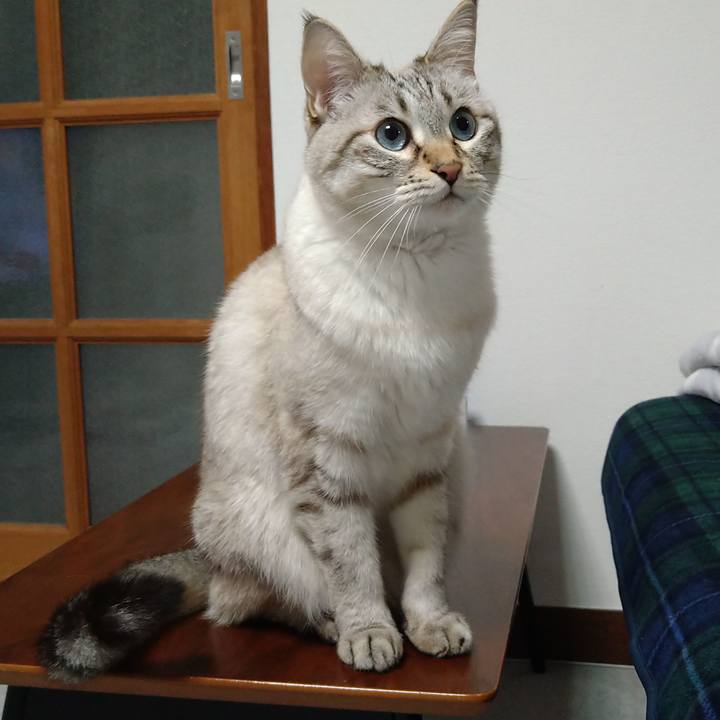 Aec44bec aaae 478d b6e2 dc62b9ae5ed0 1669289746606