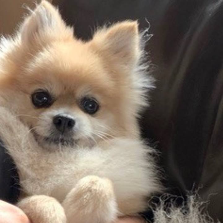 Aec46c93 e65b 4e66 91ea 292f14024ba4 1602717379058