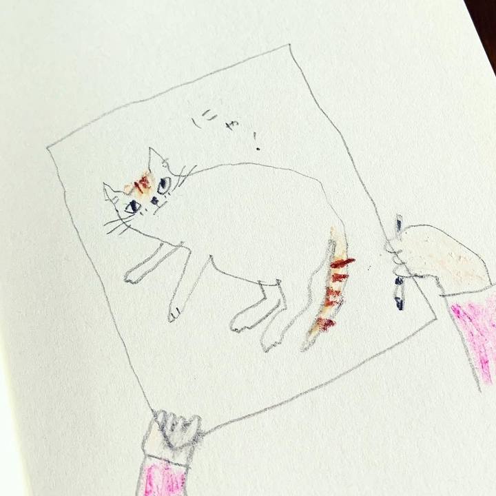 Aec4901e 1946 4a6d a2f6 2da199f0f41b 1646706406096