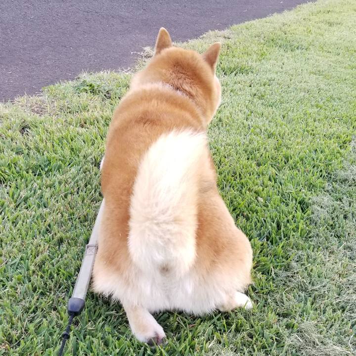 Aec4a765 90c7 472f 817d 9fc2cb86f81a 1632467282535