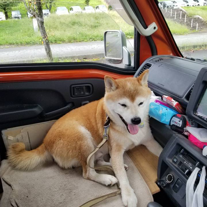 Aec4e402 d2b8 421d 9833 10f5a87ae119 1662171710291