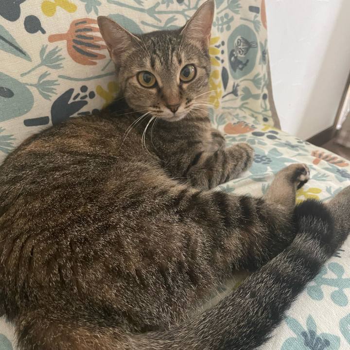 Aec4f1eb 2a9d 4de0 ad98 b997b5a805e7 1689893980899