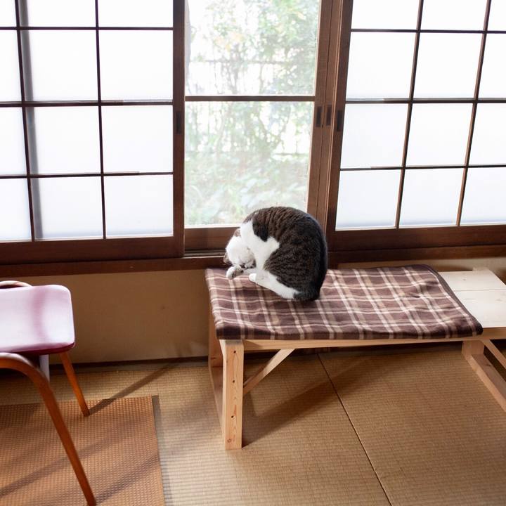 Aec52b0c 392e 4d75 804c 900920a60553 1579489815629