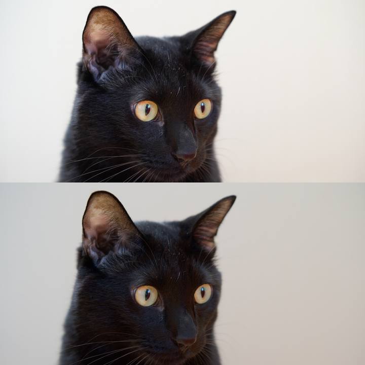 Aec53db9 46e8 4b06 b5c7 06013faf4c63 1573197906434