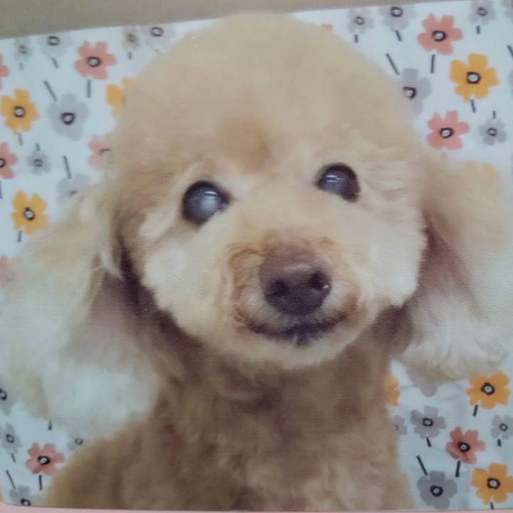 Aec53ff0 e50a 4384 bb39 42c4585df443 1667691525879