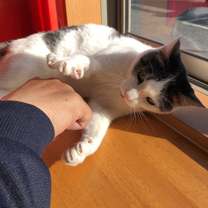 Aec541be 9b4c 41a2 8c7d bf0b8c3f6c3b 1648337702926