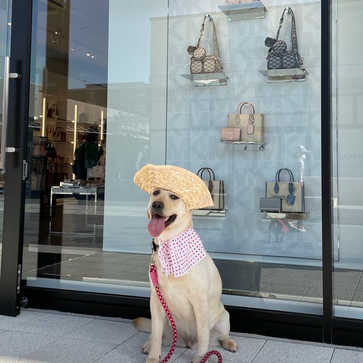 Aec5429a c8d2 47e4 937d 170654b80722 1651053019952