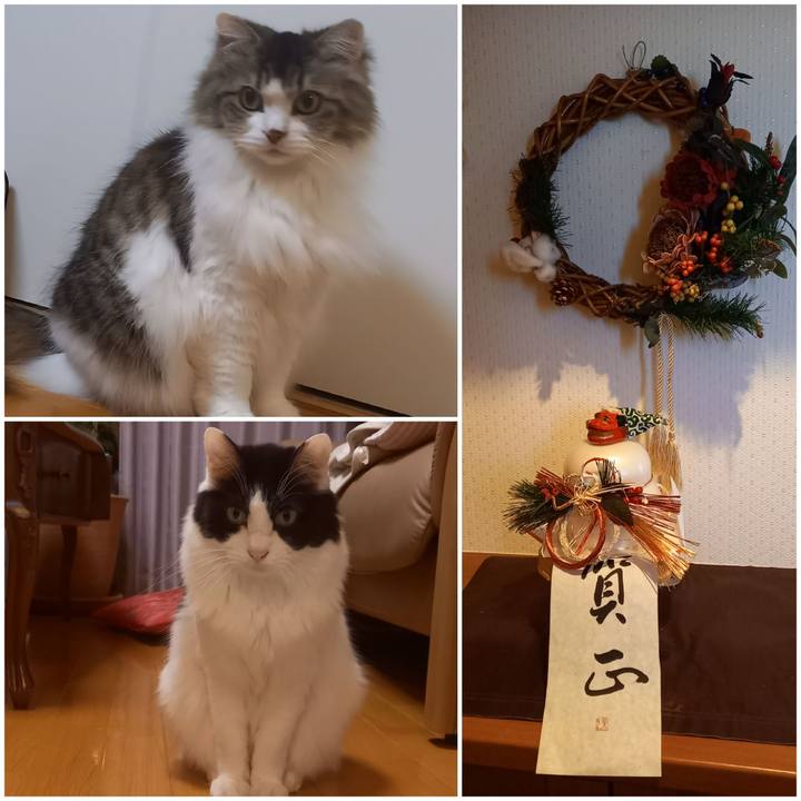 Aec55e75 98ab 4de7 bf71 2300a2ff884f 1640957637593