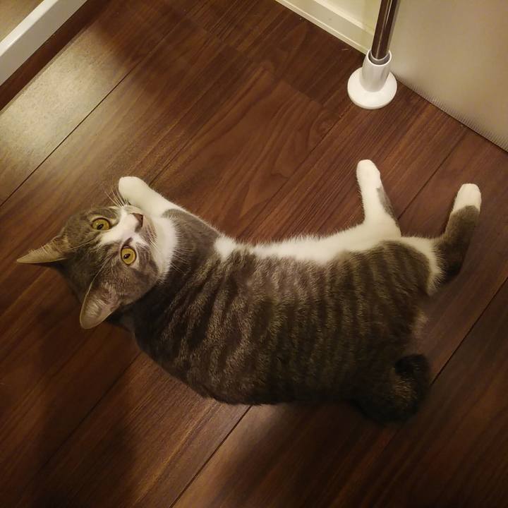 Aec5709f be39 4583 be81 cdd4e9382b5d 1582376882271