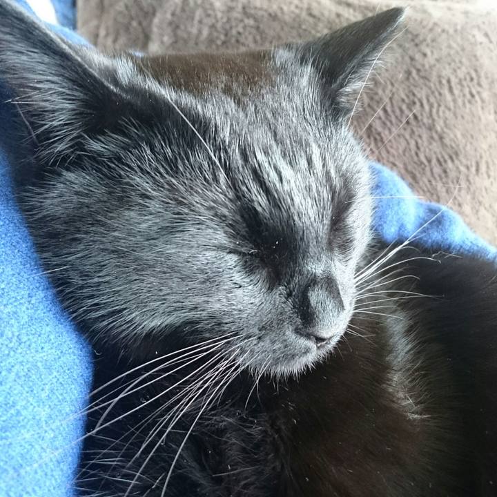 Aec5b70a ecc6 48b7 ab6d eedfe9d496cf 1517634188540