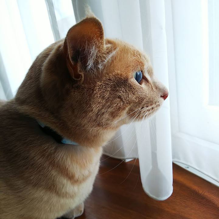 Aec63725 288d 4938 b74f dce70f7a449b 1621131633144