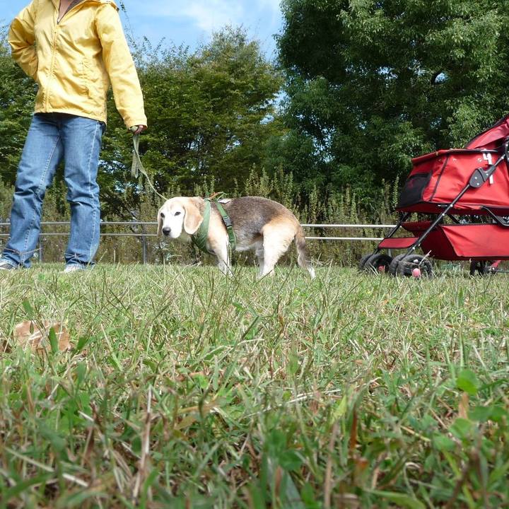 Aec6895d 3f98 421b 8858 7945b4f44c53 1701476765663