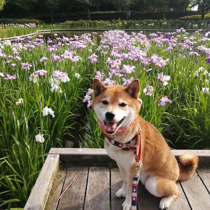 Aec6a3c3 d5d5 4fee bde9 58450d32b400 1685436919864