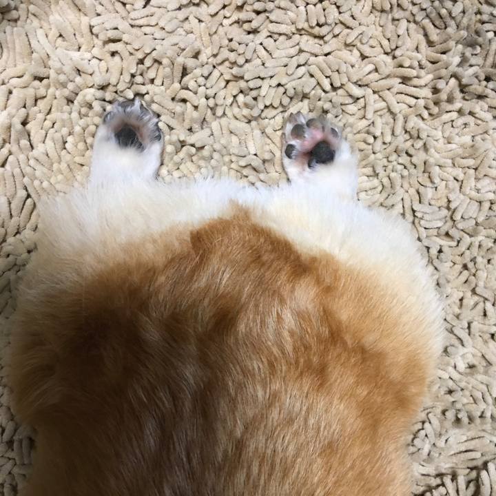 Aec6af26 60ef 4e86 b0f2 81e8b5c1a303 1529159123798