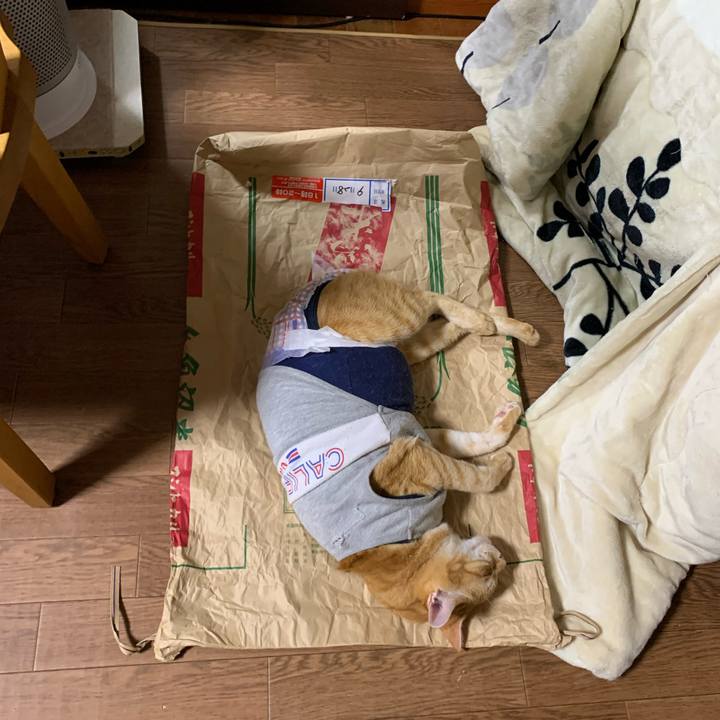 Aec6bc85 ed25 467b 8b0f 6c35ee25dc7f 1633093019386