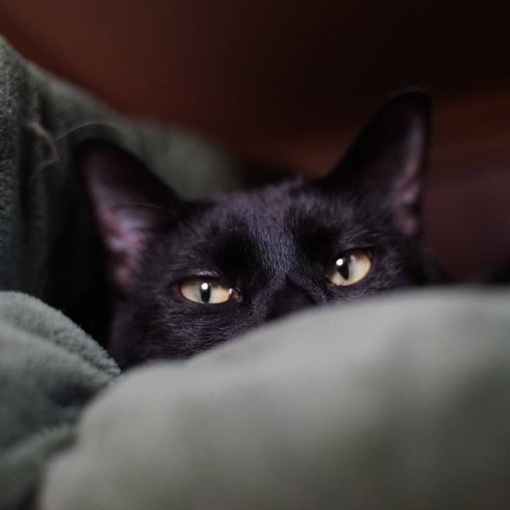 Aec6bcdb 949d 4f2b a597 937eef26c550 1526825340523