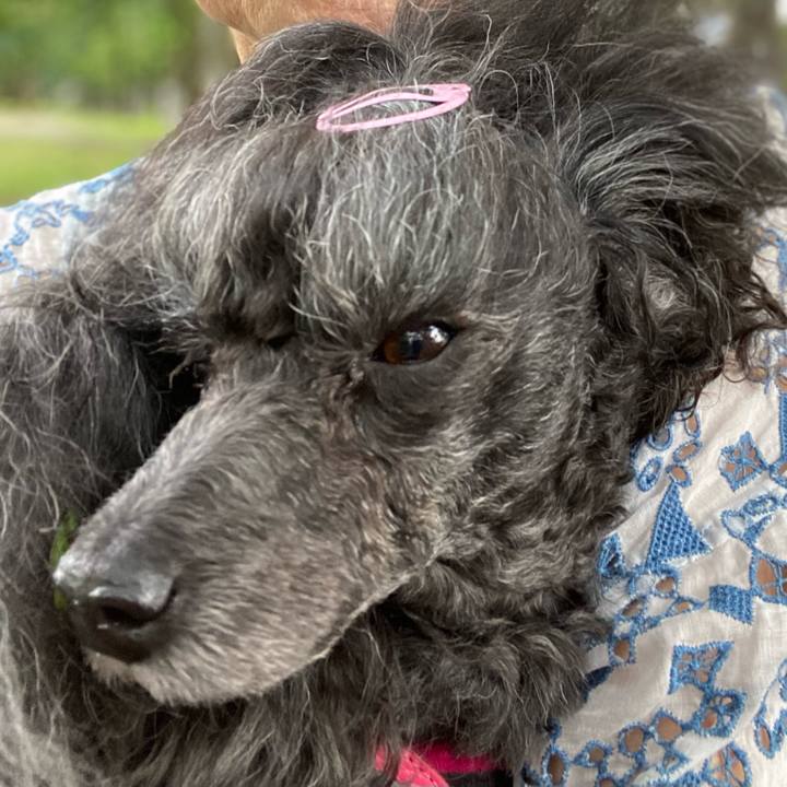 Aec6e73e 9ccc 404f aee5 d2ecc193d33a 1687656876521