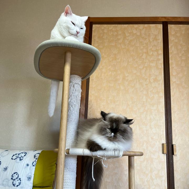 Aec7094b 5ade 43f4 9036 fa2a895aafdf 1756033629138