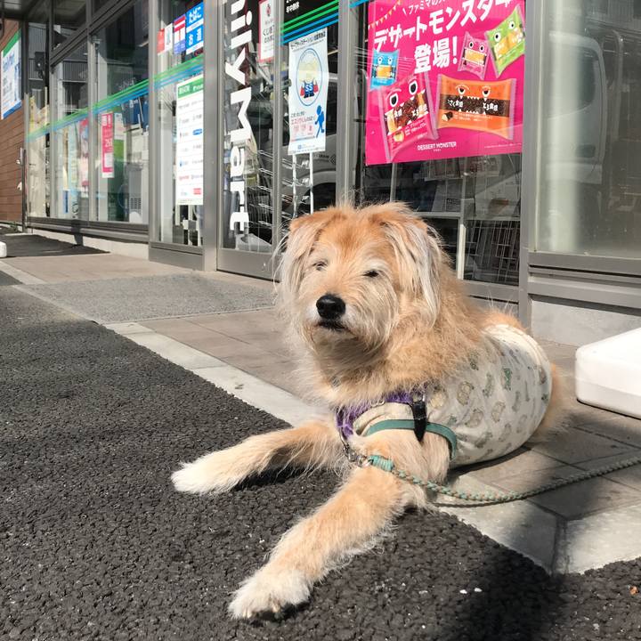 Aec71c33 604e 4847 8bd6 4dc4d778018d 1582519195075